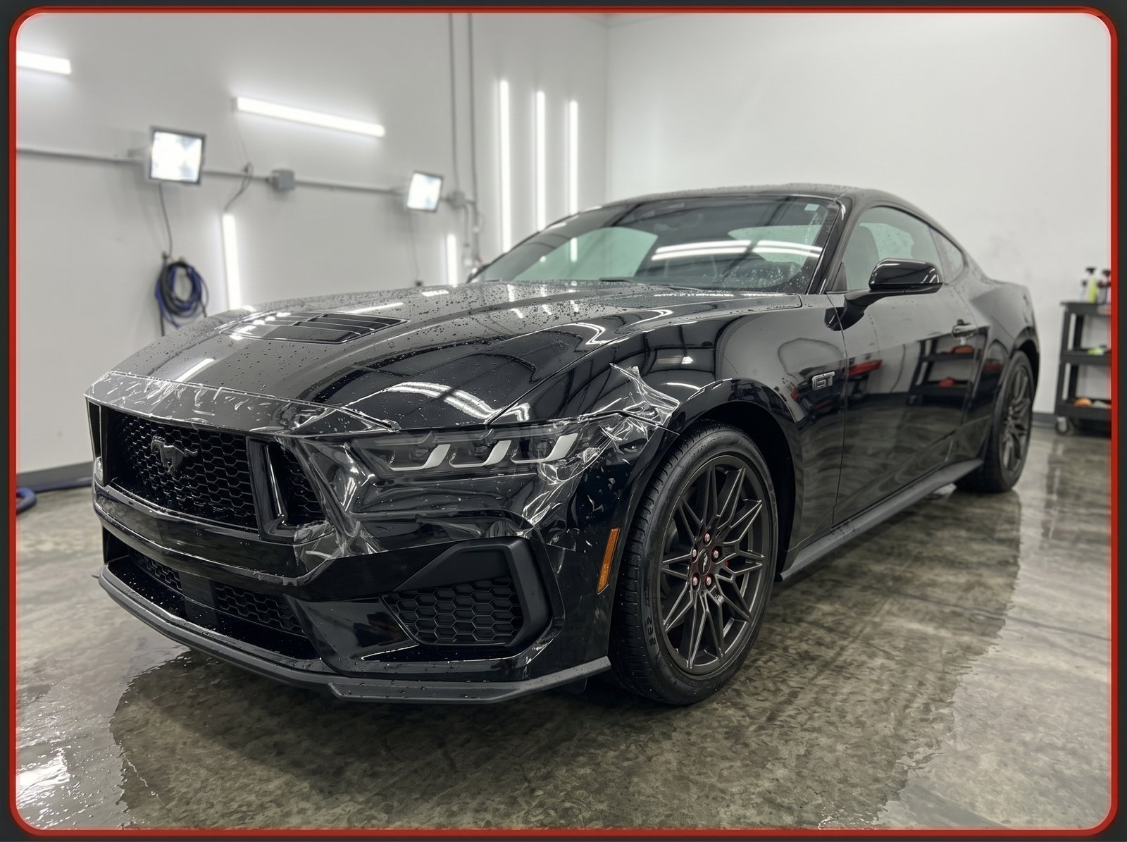 Mustang ppf